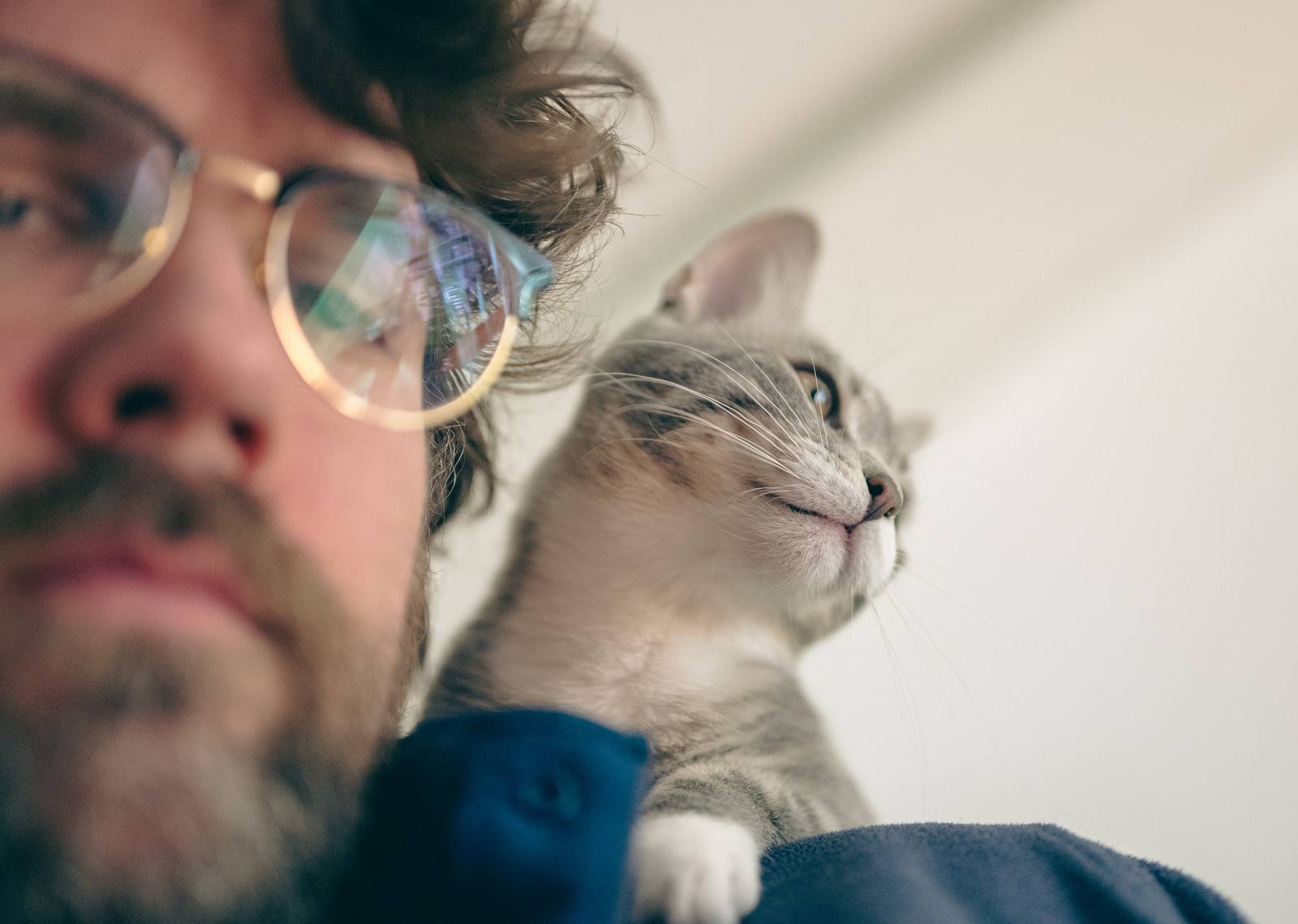 A person holding a gray cat close to their face indoors.