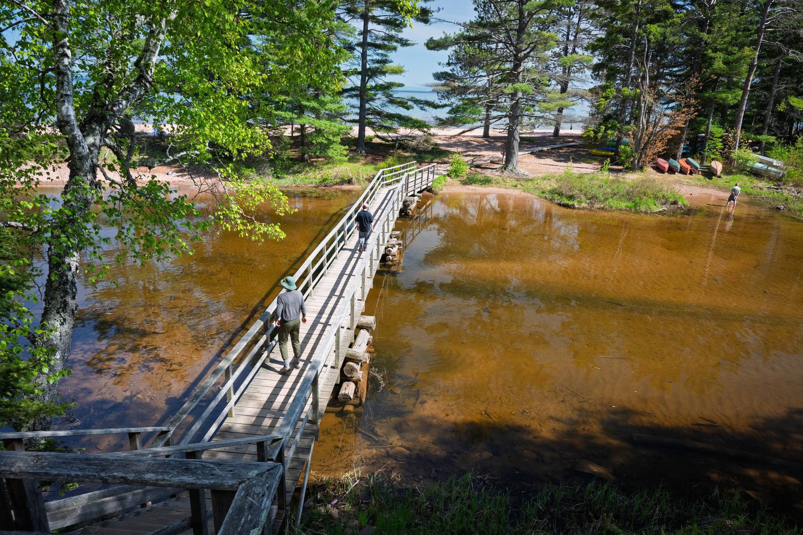 Two hikers cross a rustic wooden boardwalk over a tannin-stained pool, heading toward a sandy lake beach where colorful canoes are stacked beneath tall pines.