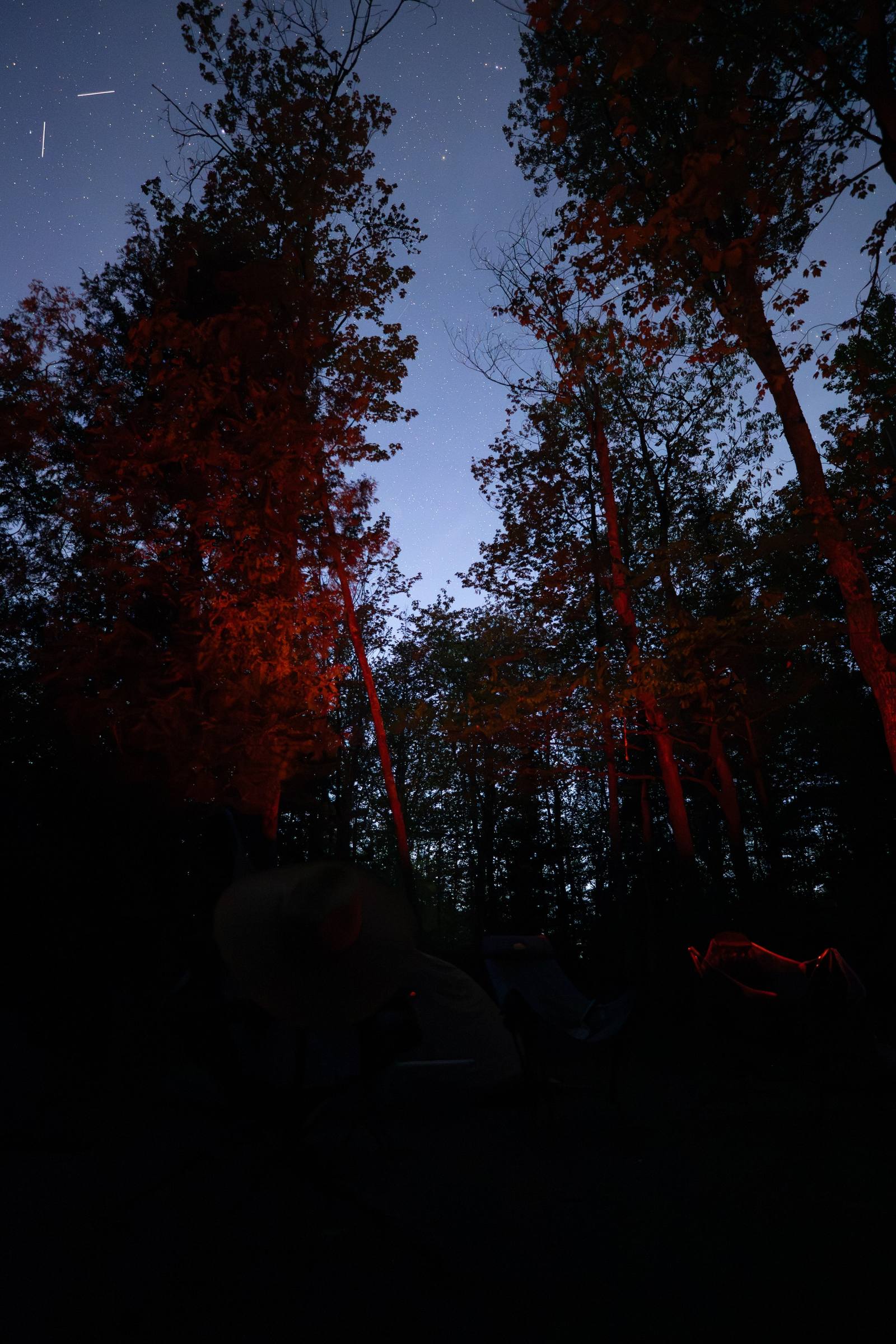 Autumn trees lit red by firelight frame a star-filled night sky at a campsite, with silhouetted campers below and a glowing hammock visible at the edge of the frame.